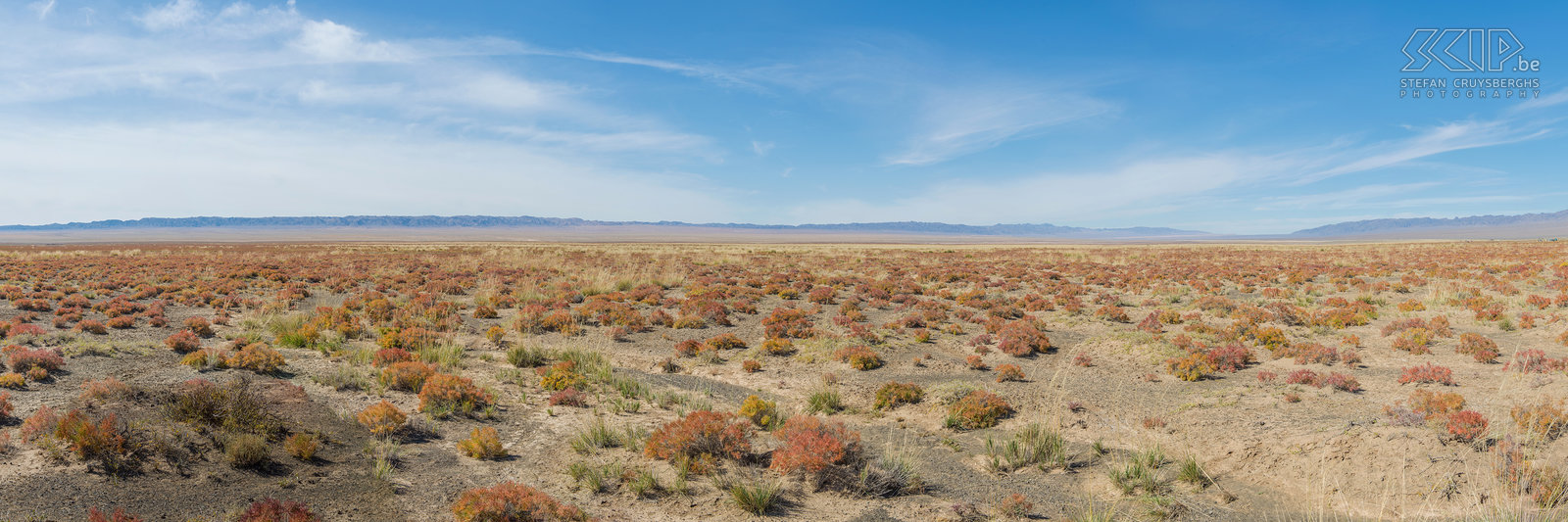 Gobi Vast steppe plains in the Gobi desert with many shrubs in orange and red autumn colors. Stefan Cruysberghs